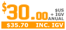 hosting peru precio profesional