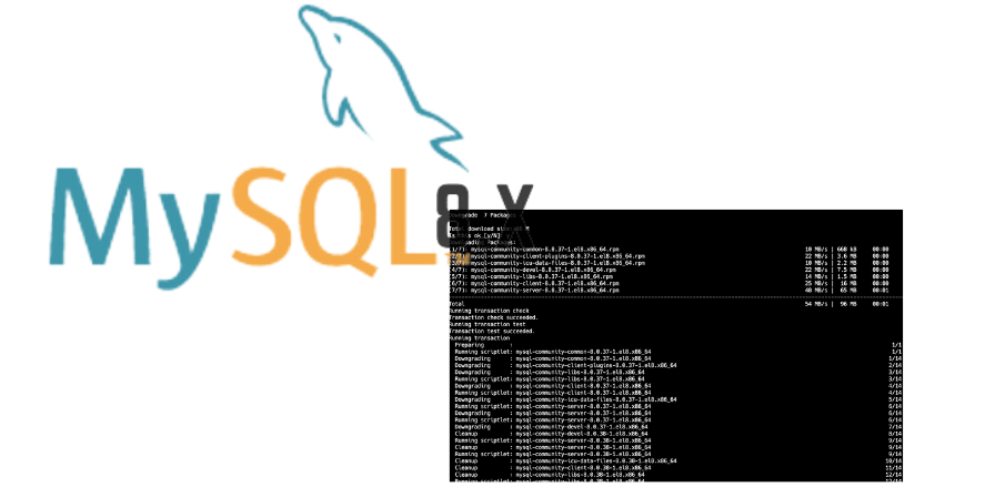 error mysql 8