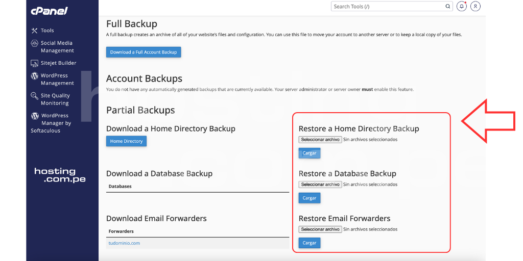 restaurar copia de seguridad parcial db mail archivos web